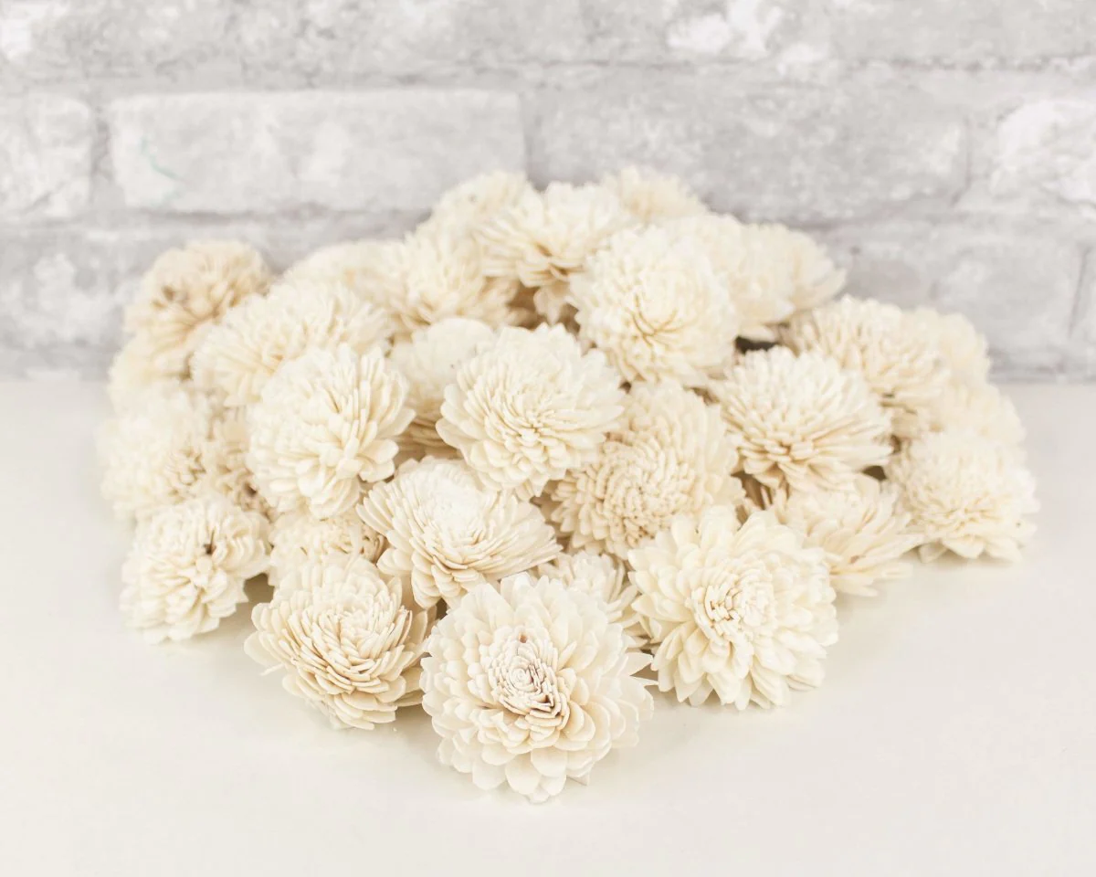 2" Zinnia - 50 Pack - Image 5