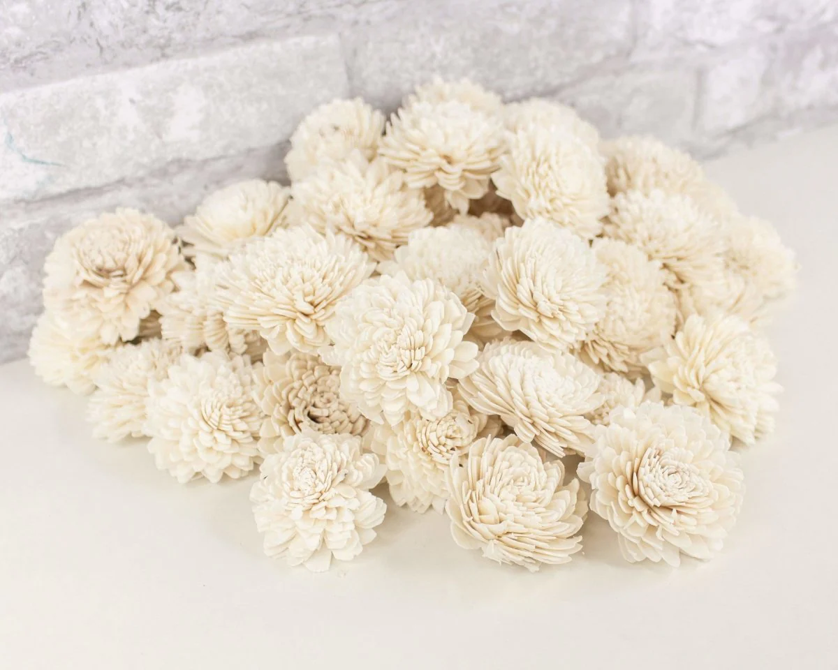 2" Zinnia - 50 Pack - Image 6