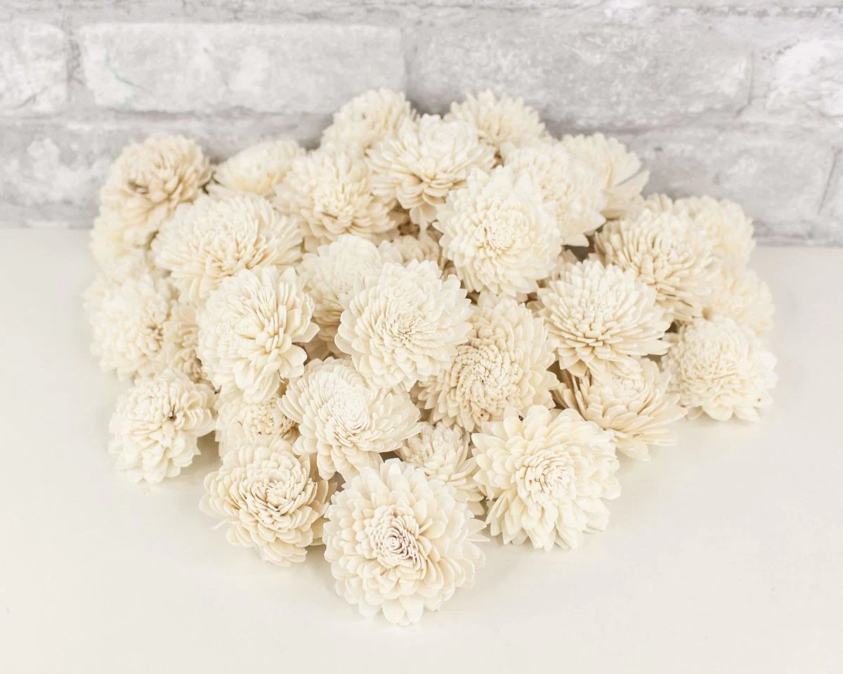 2" Zinnia - 50 Pack - Image 7