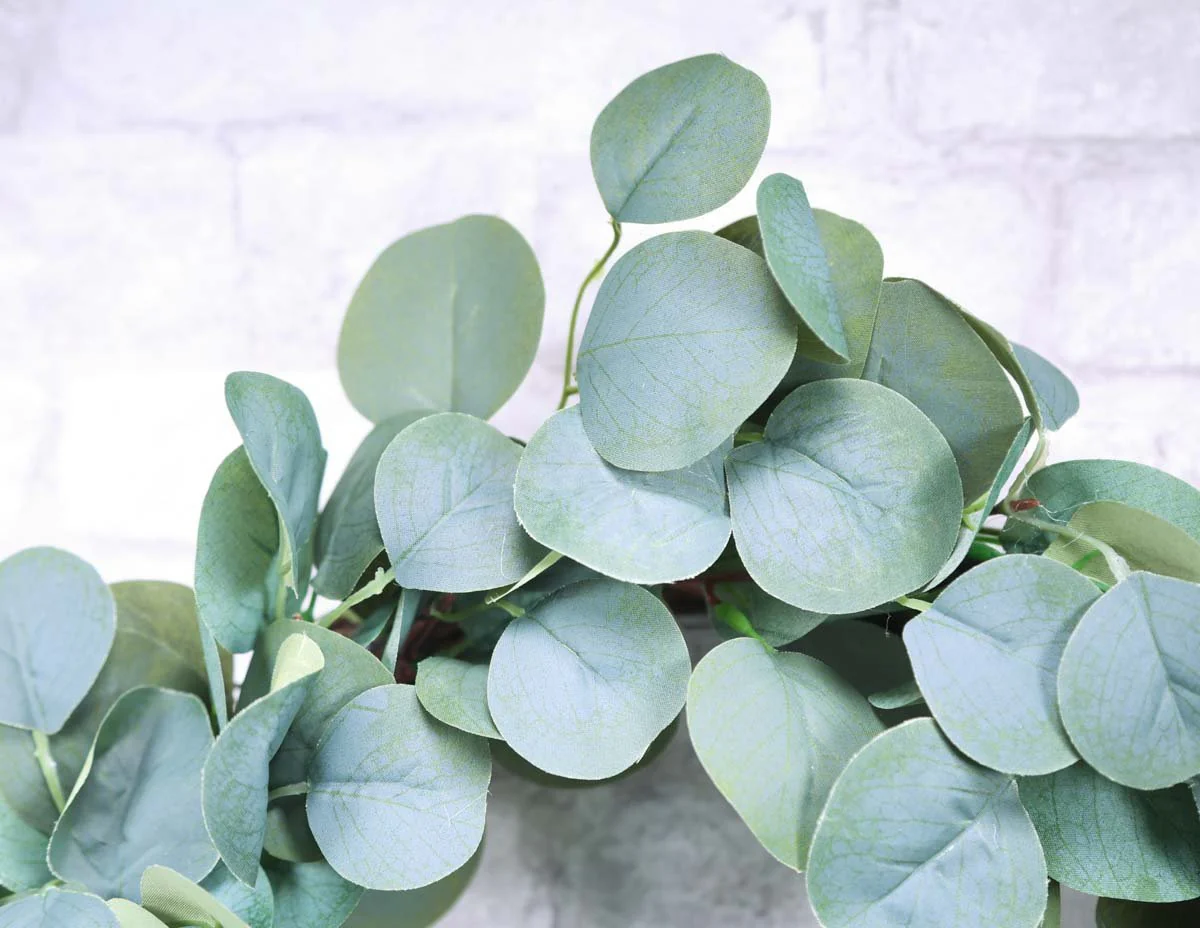 20" Eucalyptus Wreath - Image 3