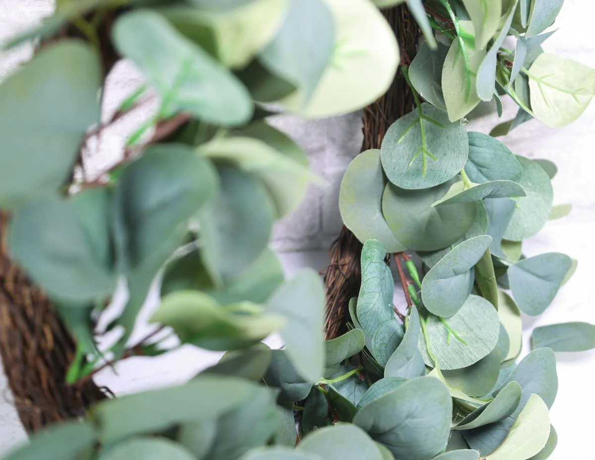 20" Eucalyptus Wreath - Image 5