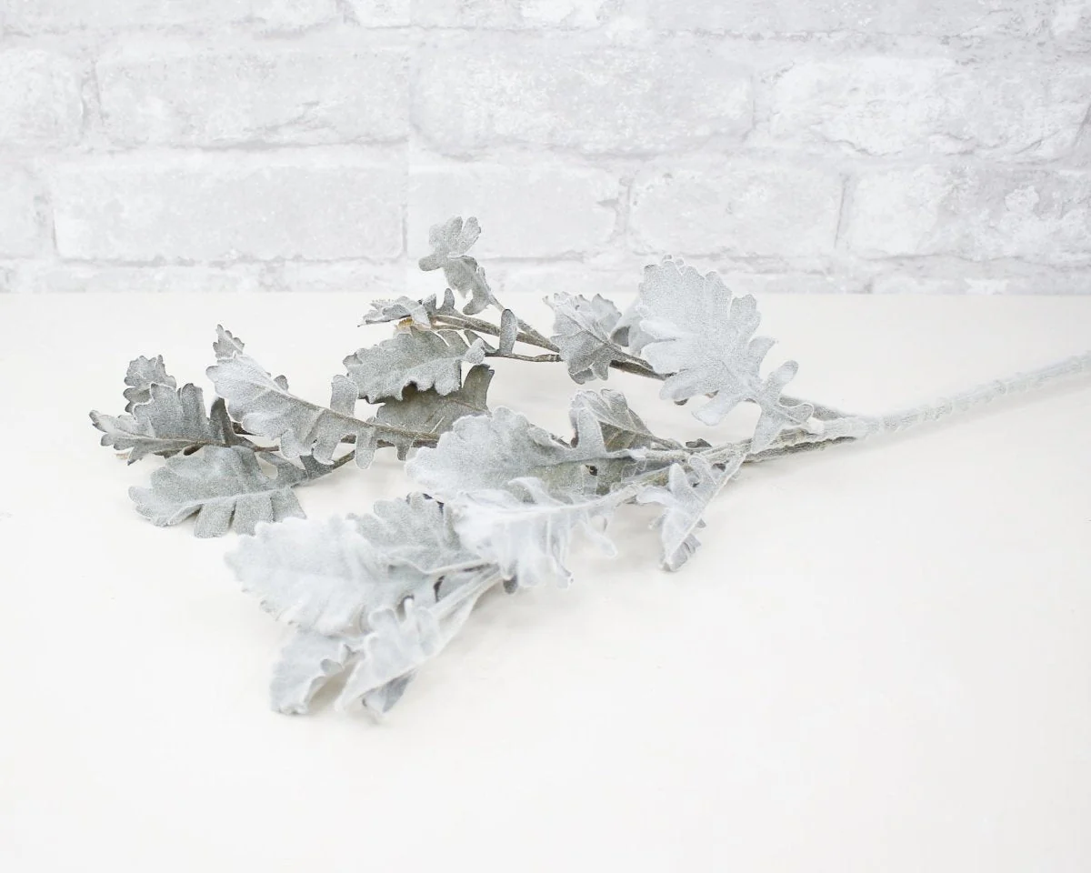 28" Long Stem Dusty Miller Spray - Image 2