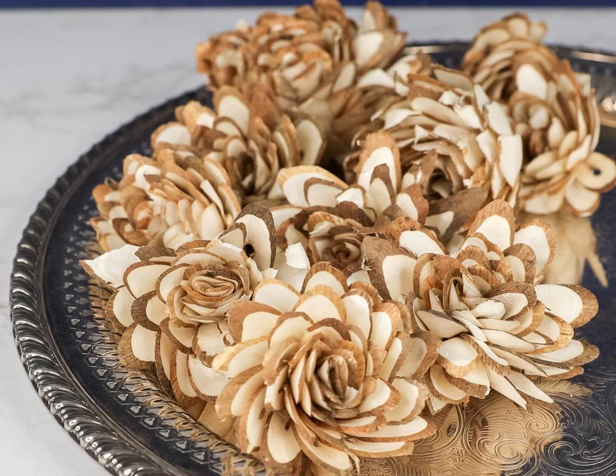 3" Almond (10 pack) - Image 4