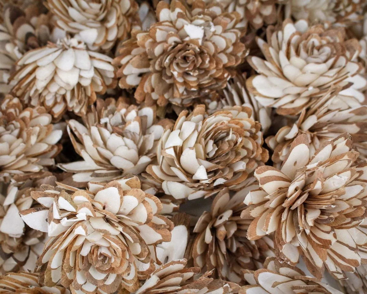 3" Almond - 50 Pack - Image 2
