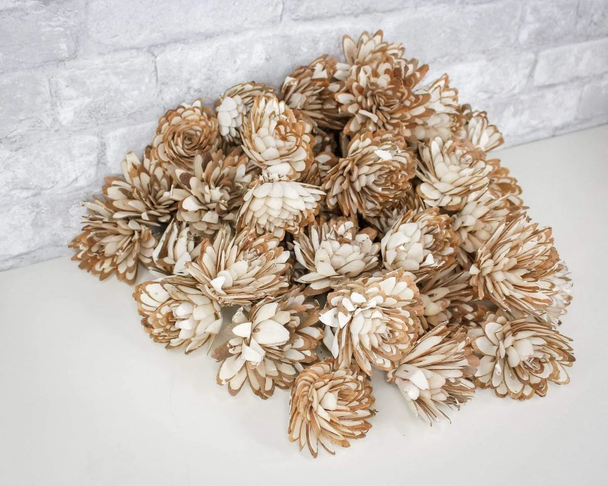 3" Almond - 50 Pack - Image 4