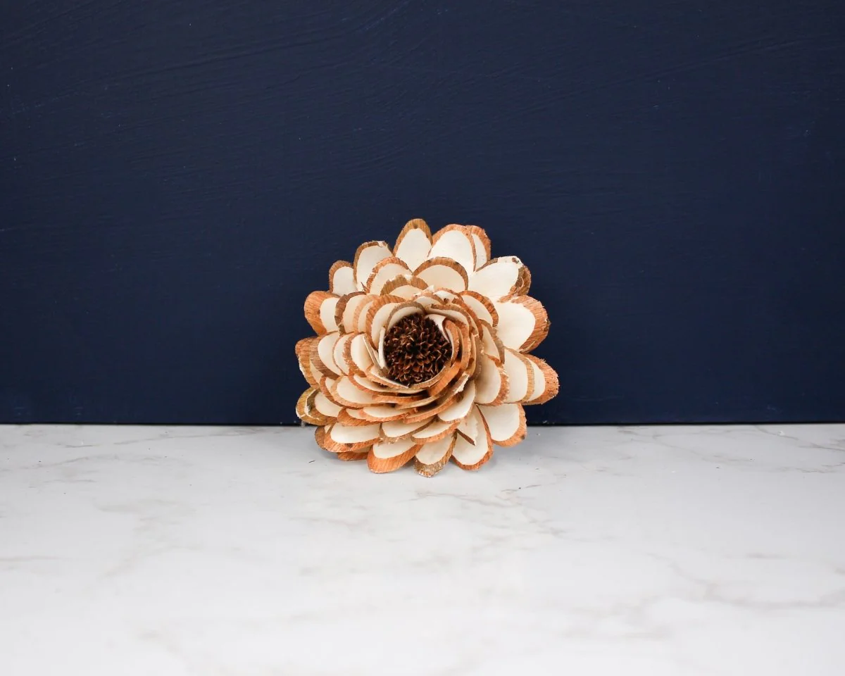 3" Almond Daisy (10 Pack) - Image 2