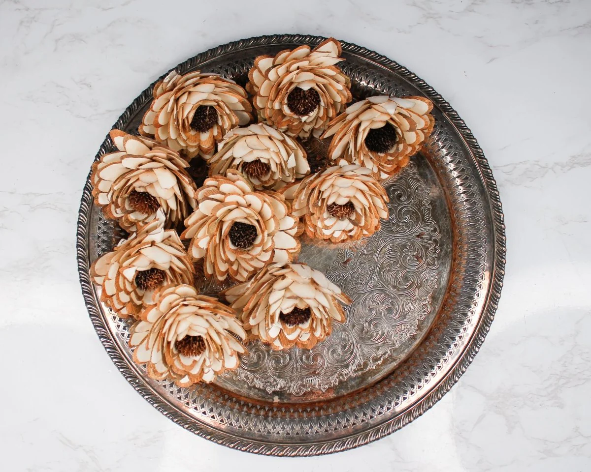 3" Almond Daisy (10 Pack) - Image 4