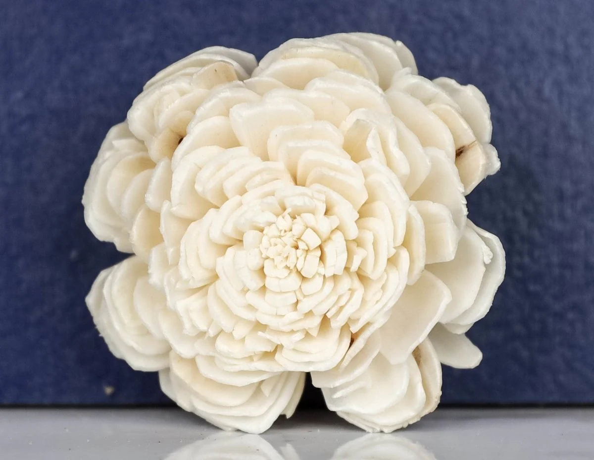 3" Bali (10 pack) - Image 2