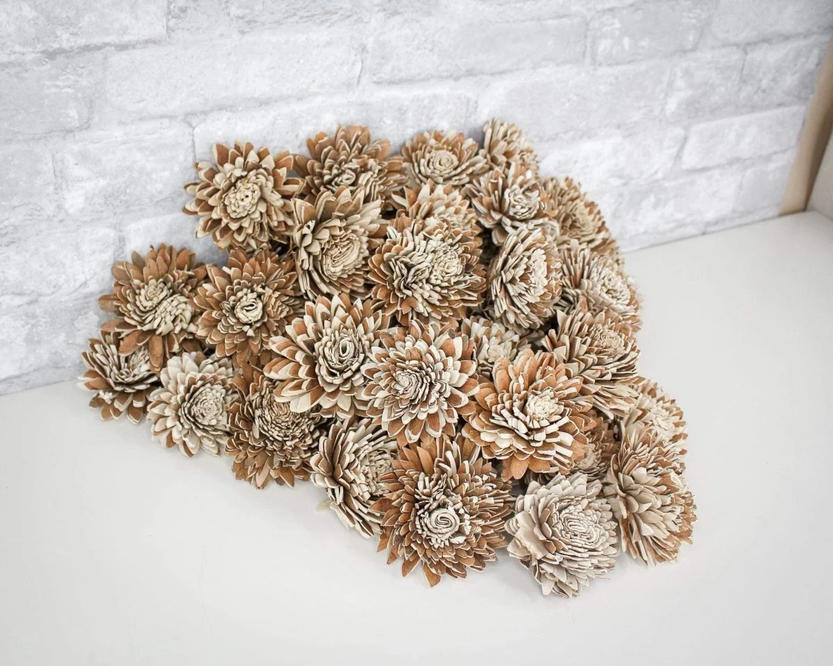 3" Bark Zinnia (500 Flower Box) - Image 4