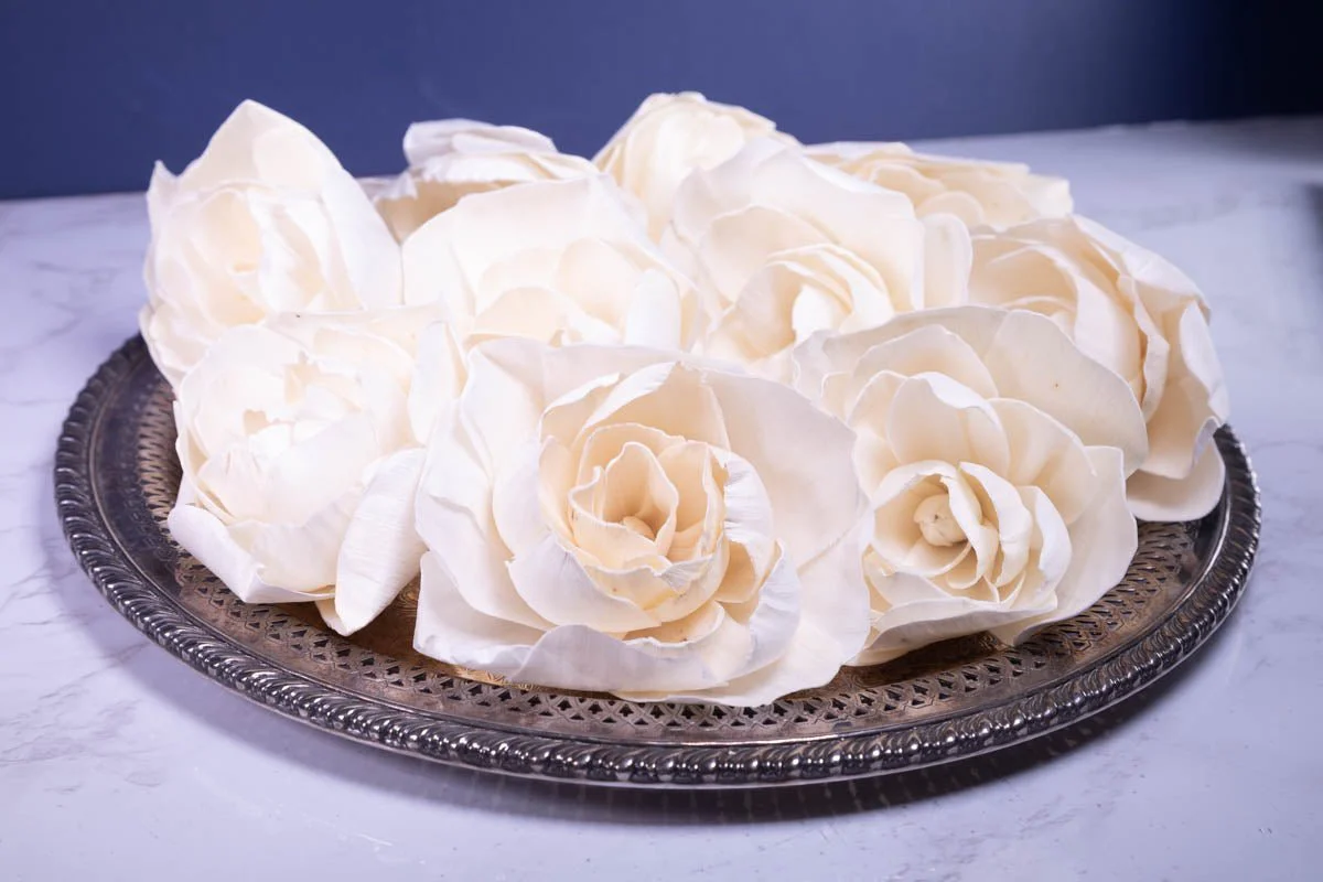 3" Bartzella Peony (10 Pack) - Image 3