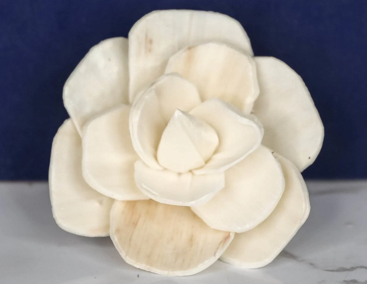 3" Betty the Beautiful (10 pack) - Image 2
