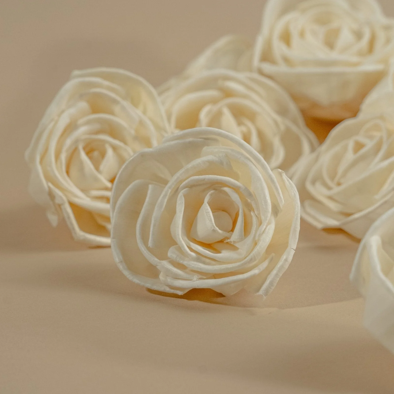 3" Bird Rose (10 pack) - Image 3