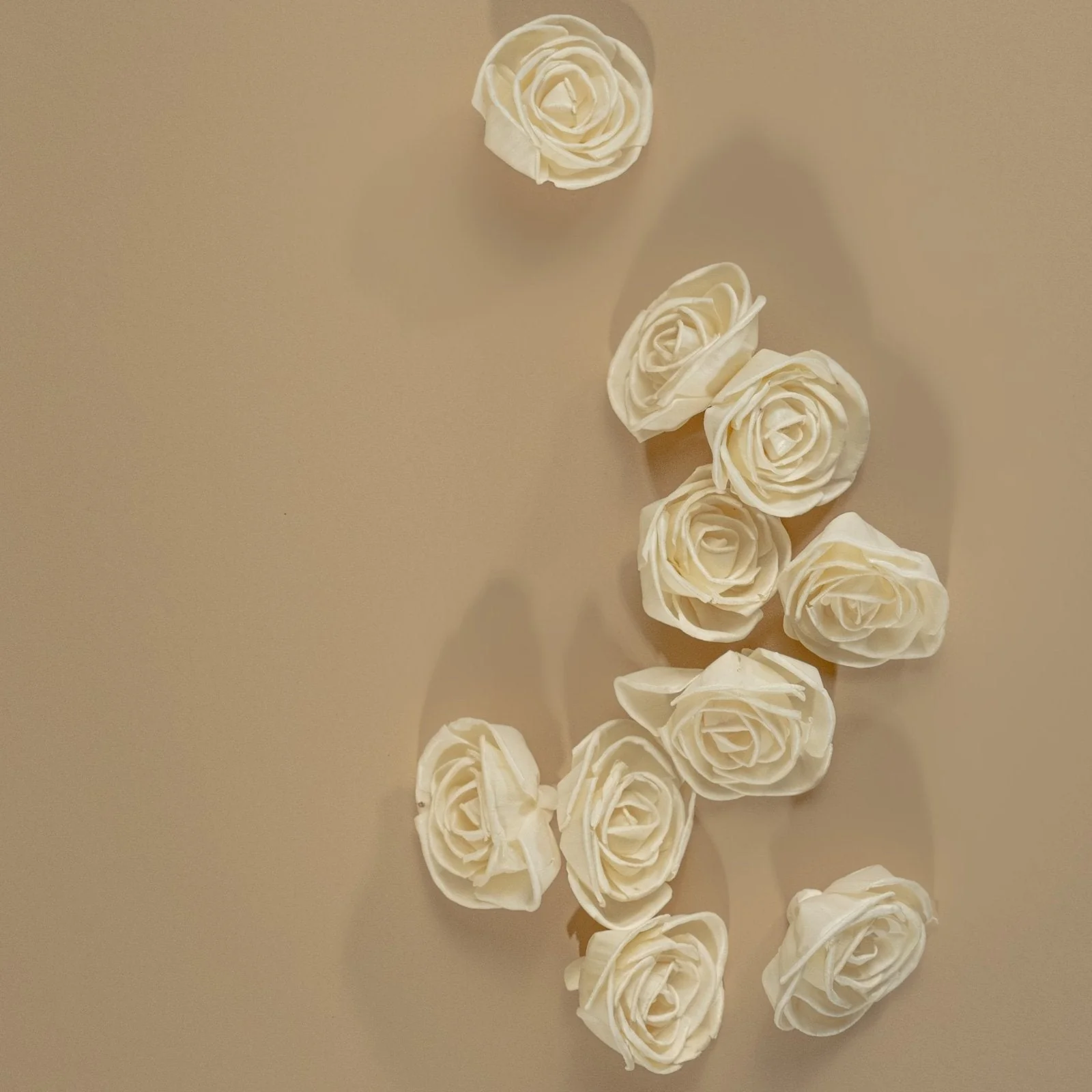 3" Bird Rose (10 pack) - Image 4