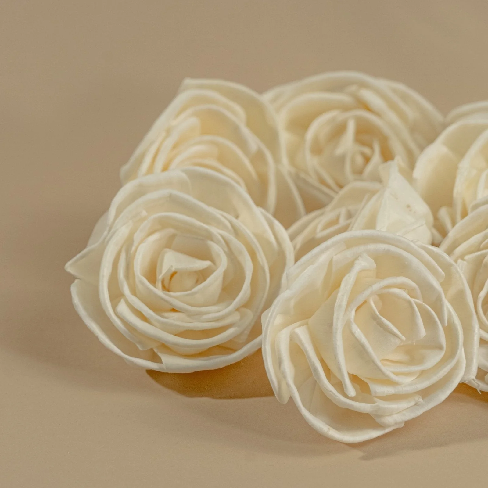 3" Bird Rose (10 pack) - Image 5