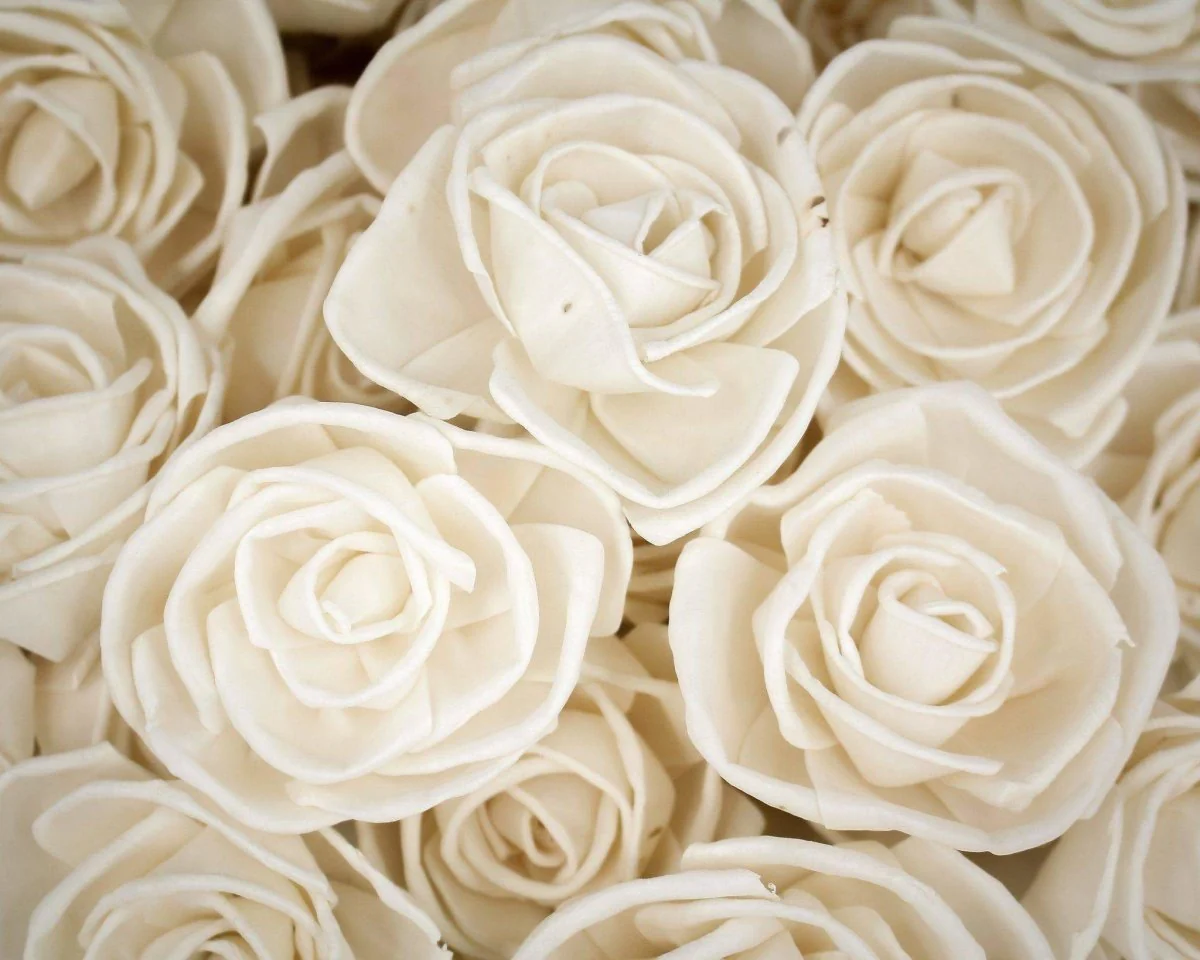 3" Bird Rose - 50 Pack - Image 2