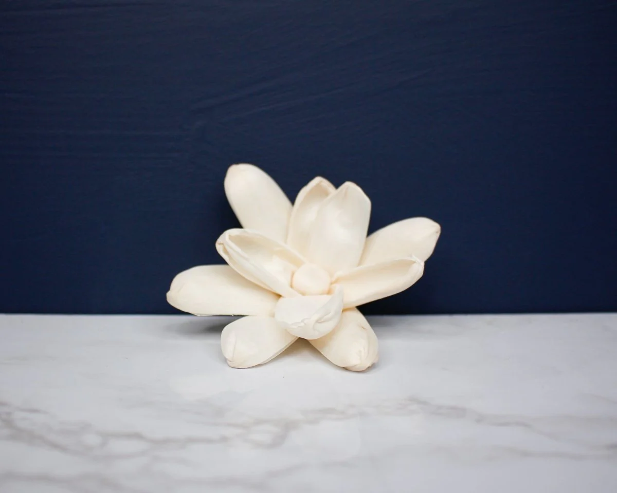 3" Bitty (10 pack) - Image 2