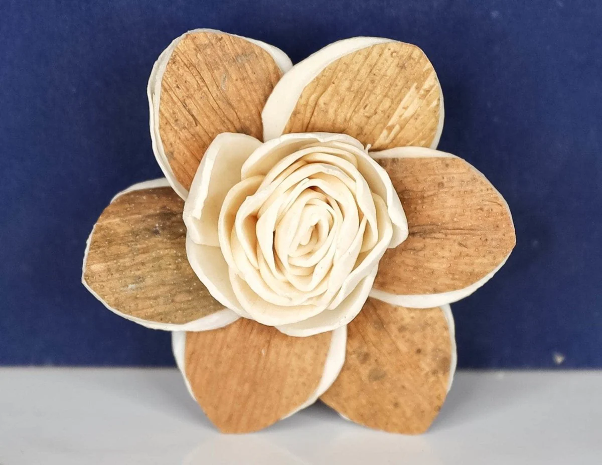 3" Bluebell (10 Pack) - Image 2