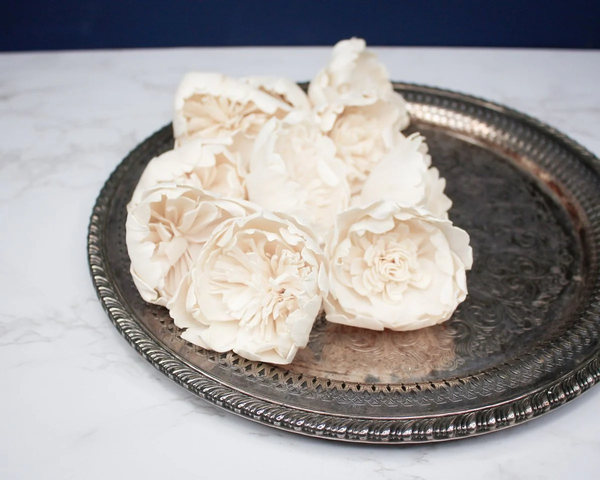 3" Bowl Of Beauty Peony (10 Pack) - Image 3