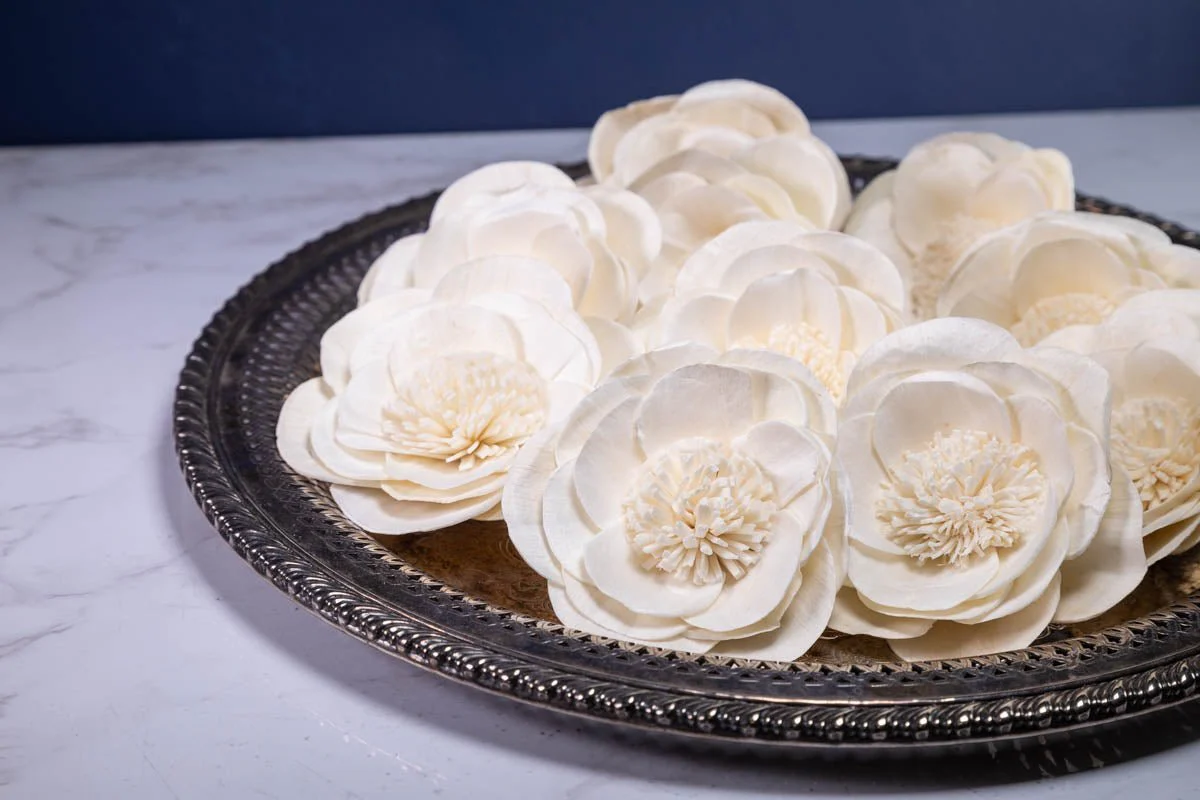 3" Buckeye Belle Peony (10 Pack) - Image 3