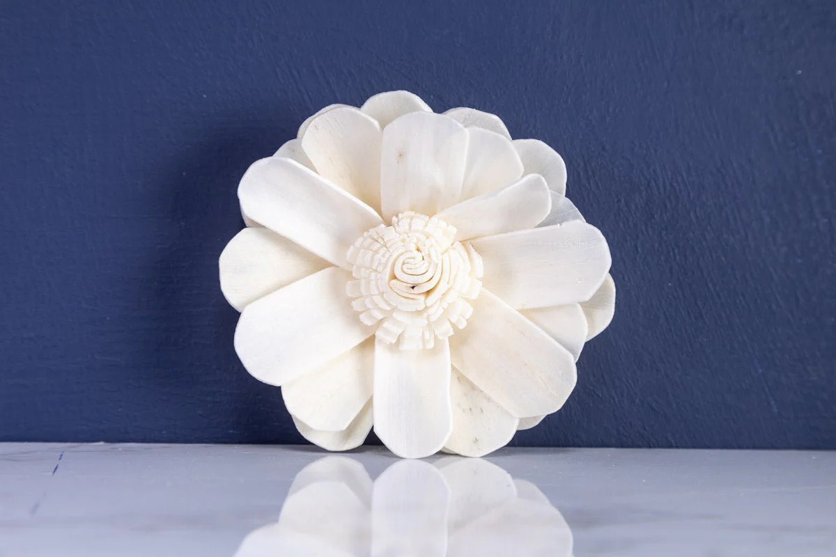 3" Butterfly Ranunculus (10 Pack) - Image 4