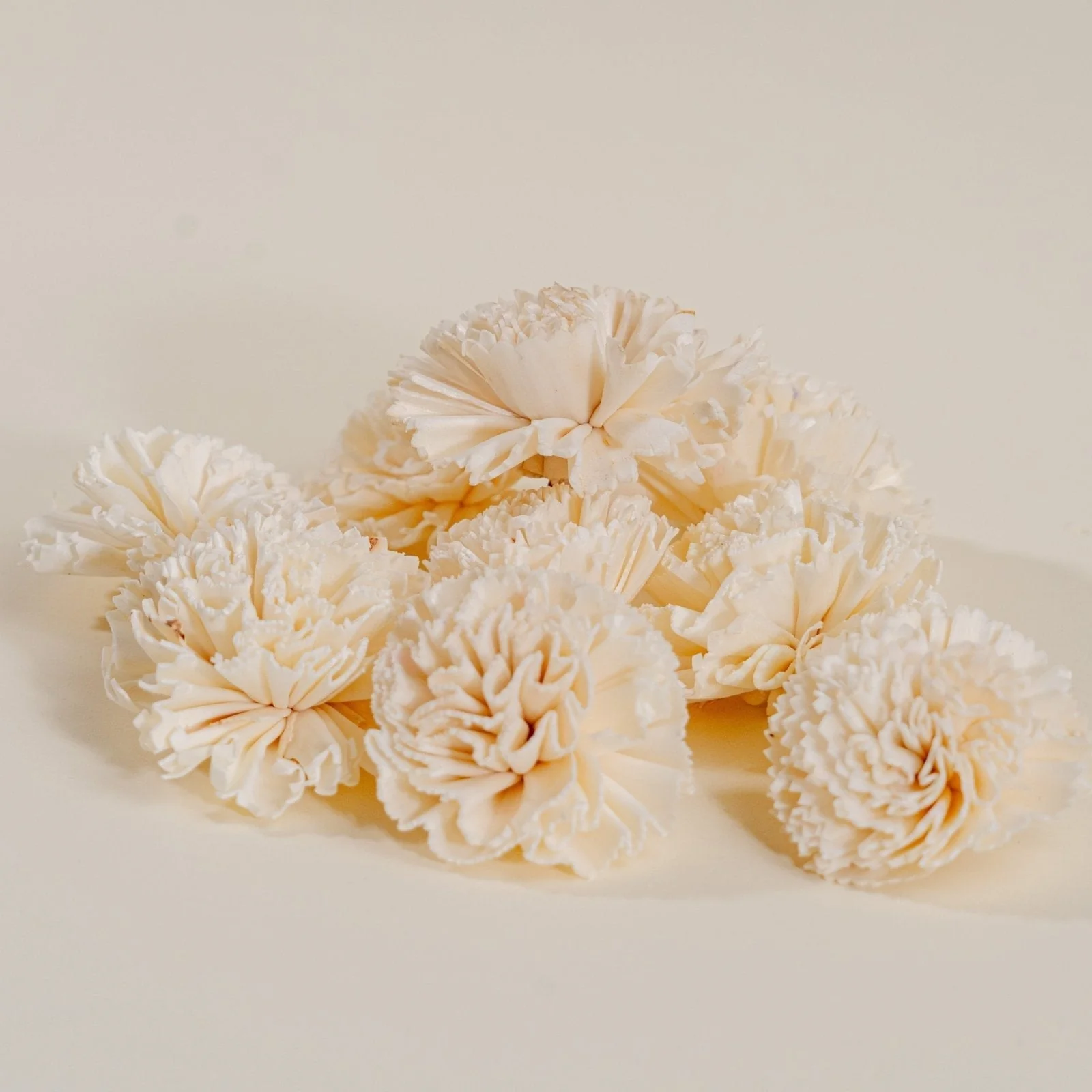 3" Carnation (10 pack) - Image 3