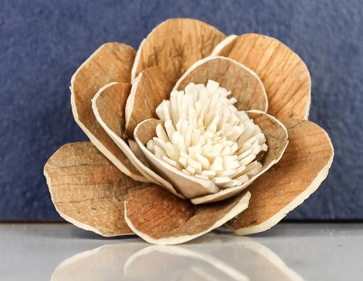 3" Coco (10 Pack) - Image 2