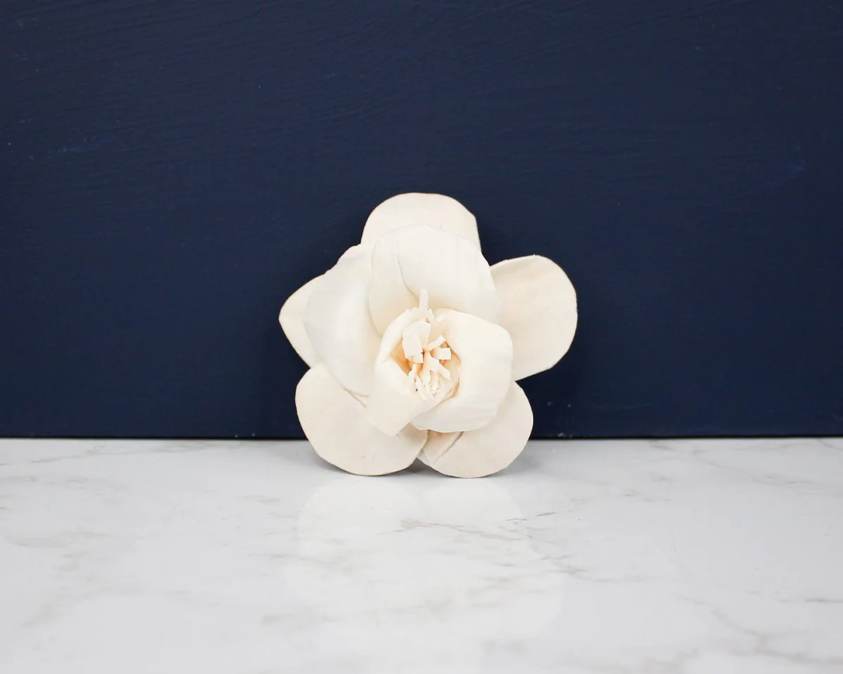 3" Daffodil (10 Pack) - Image 2