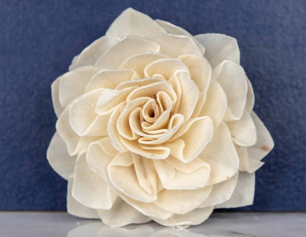 3" Dahlia (10 pack) - Image 2