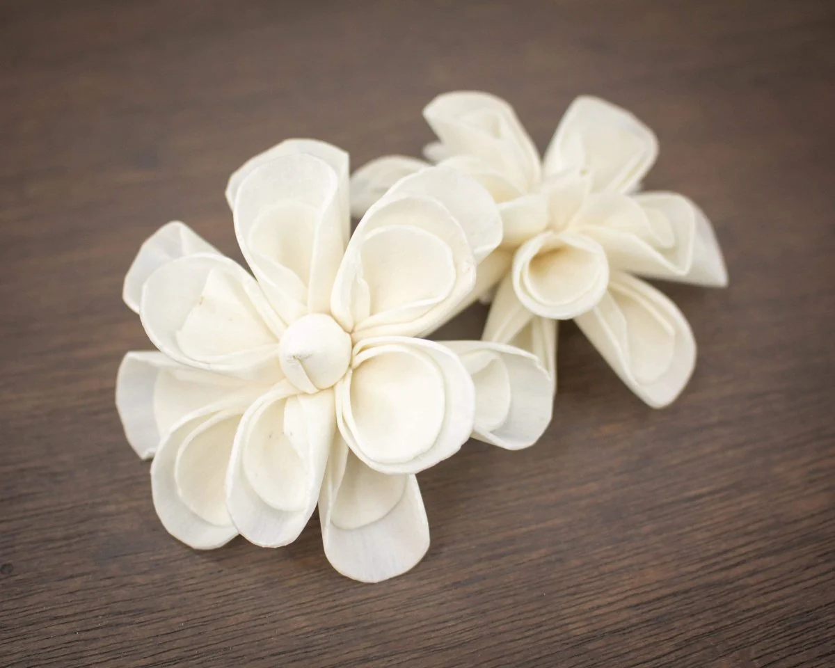 3" Dainty Daisy (10 pack) - Image 2