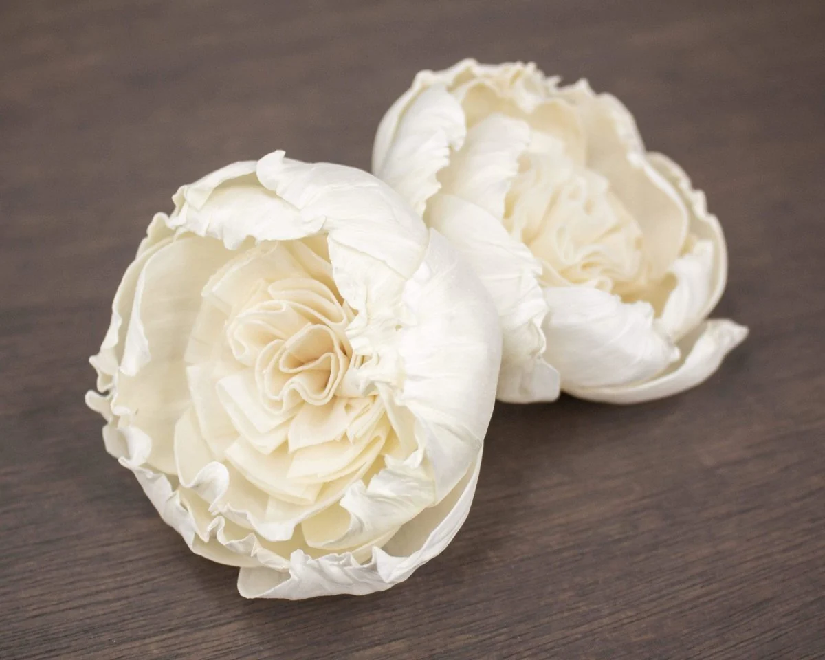 3" English Rose (3 Pack) - Image 2