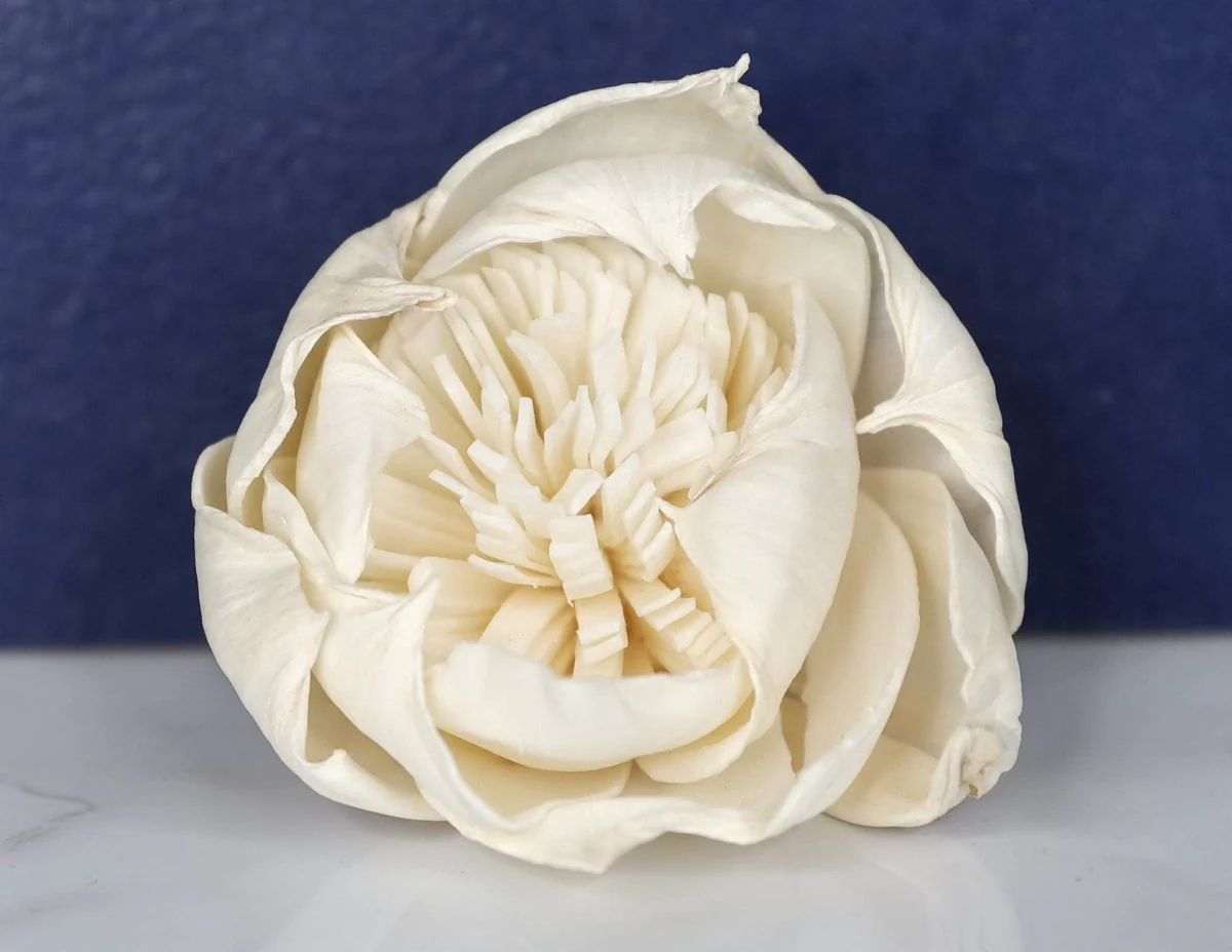 3" Fresia (10 Pack) - Image 2