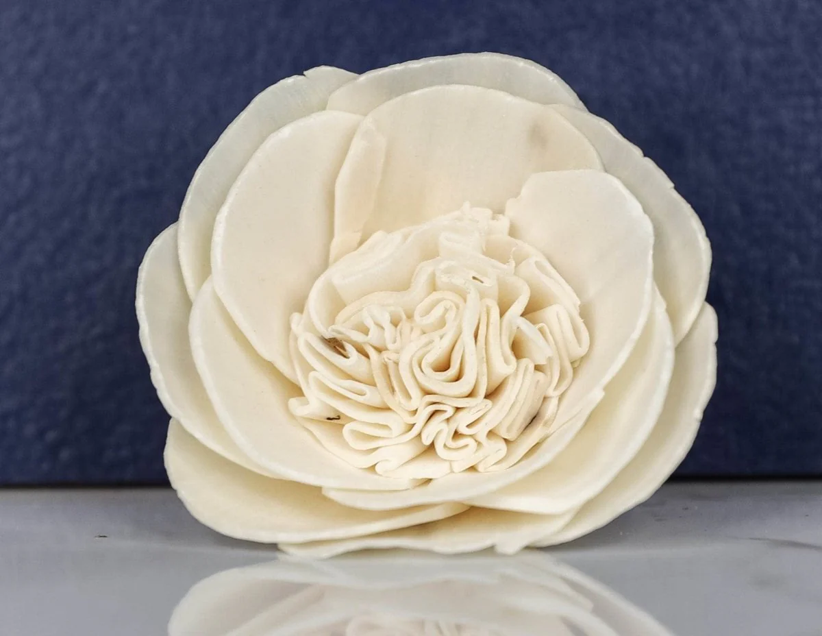 3" Garden Rose (10 Pack) - Image 2