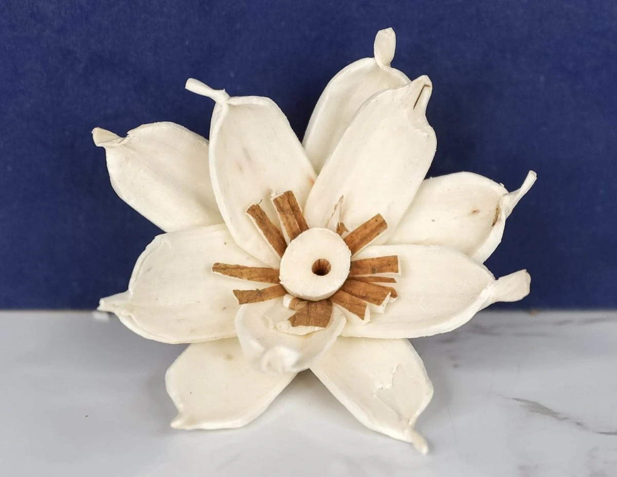 3" Gardenia (10 Pack) - Image 2