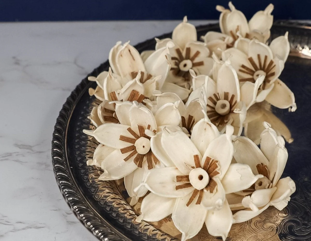3" Gardenia (10 Pack) - Image 4
