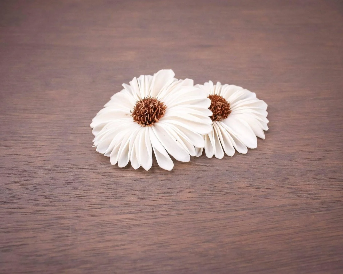 3" Gerbera Daisy (10 Pack) - Image 2