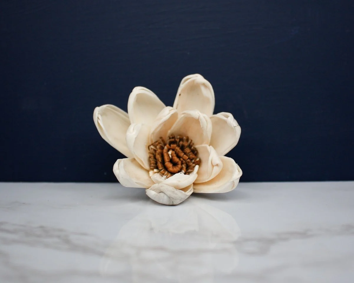 3" Harriet (10 pack) - Image 2