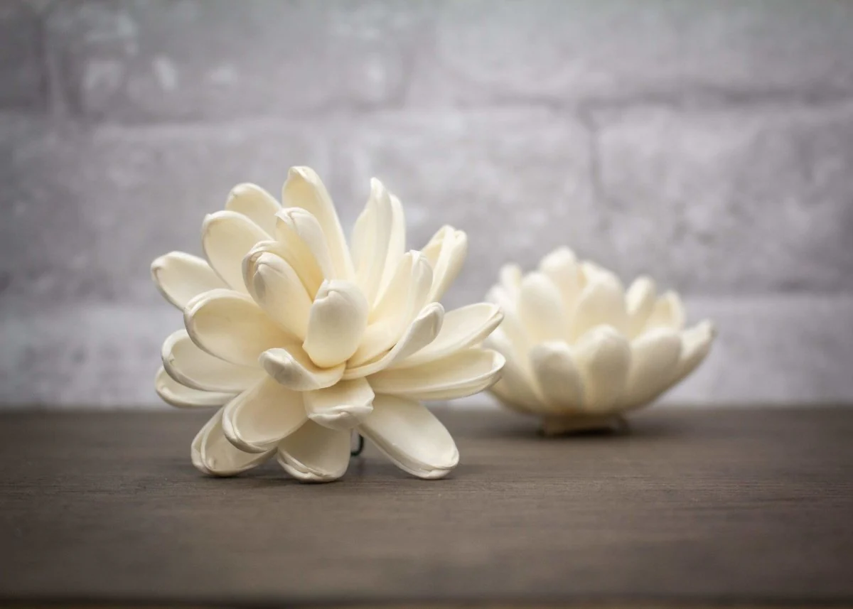 3" Hazel (3 pack) - Image 2