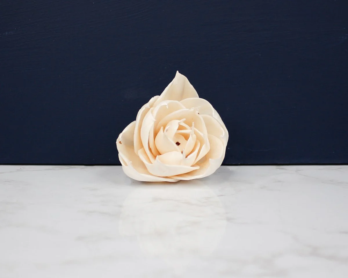 3" Jubilee (10 Pack) - Image 2