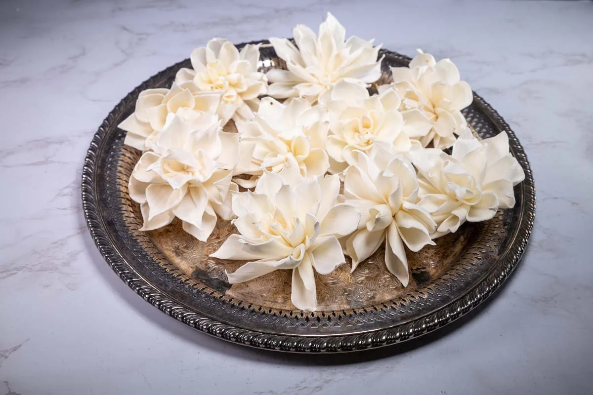 3" Labyrinth Dahlia (10 Pack) - Image 3