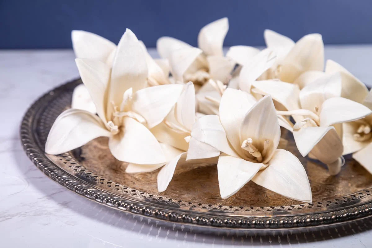 3" Lily (10 Pack) - Image 2