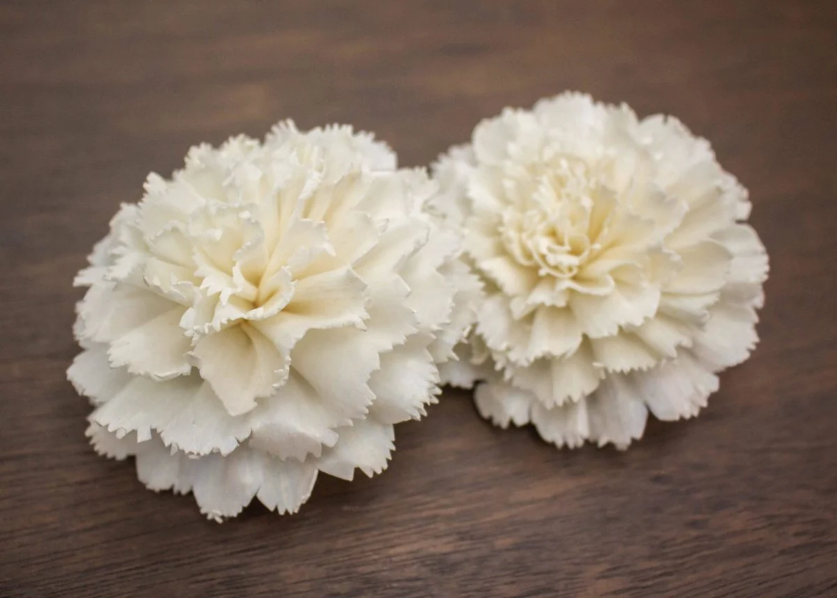 3" Mira (3 Pack) - Image 2