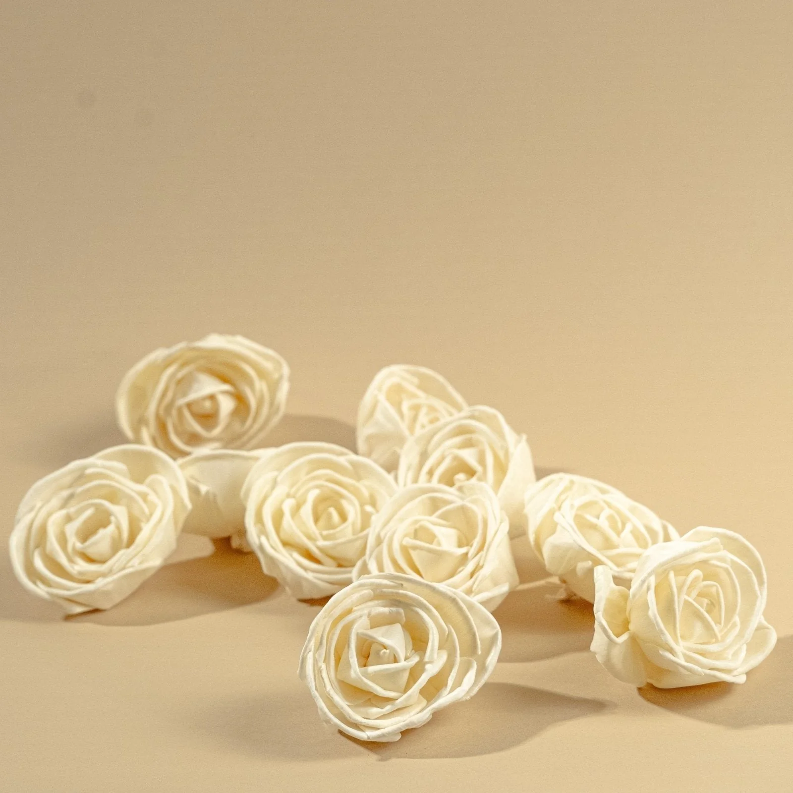 3" Nelly (10 Pack) - Image 5
