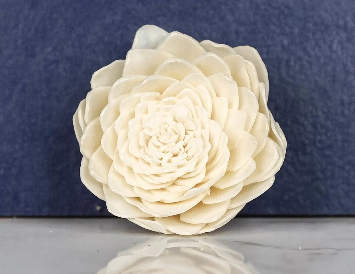 3" Obsession (10 pack) - Image 2