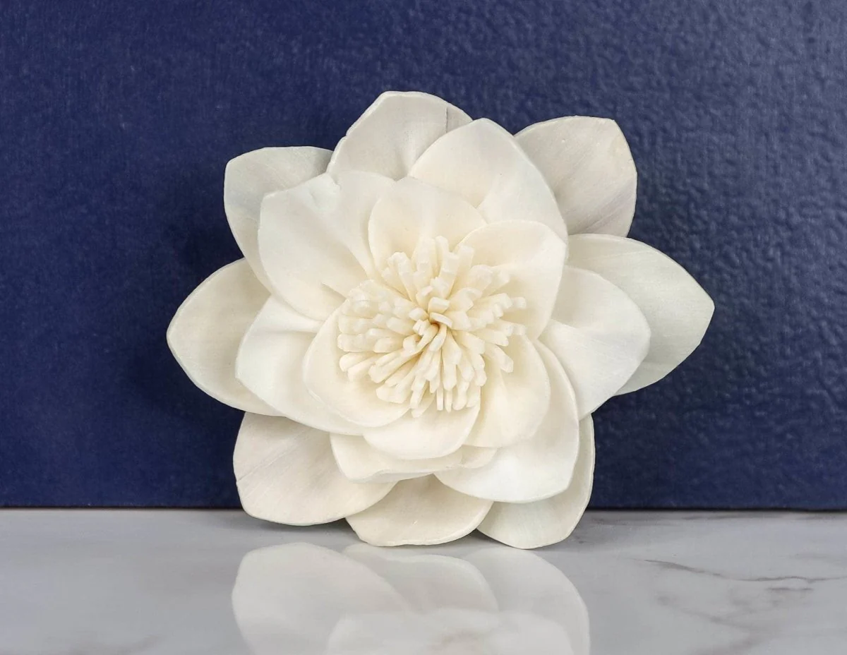 3" Paris (10 Pack) - Image 2