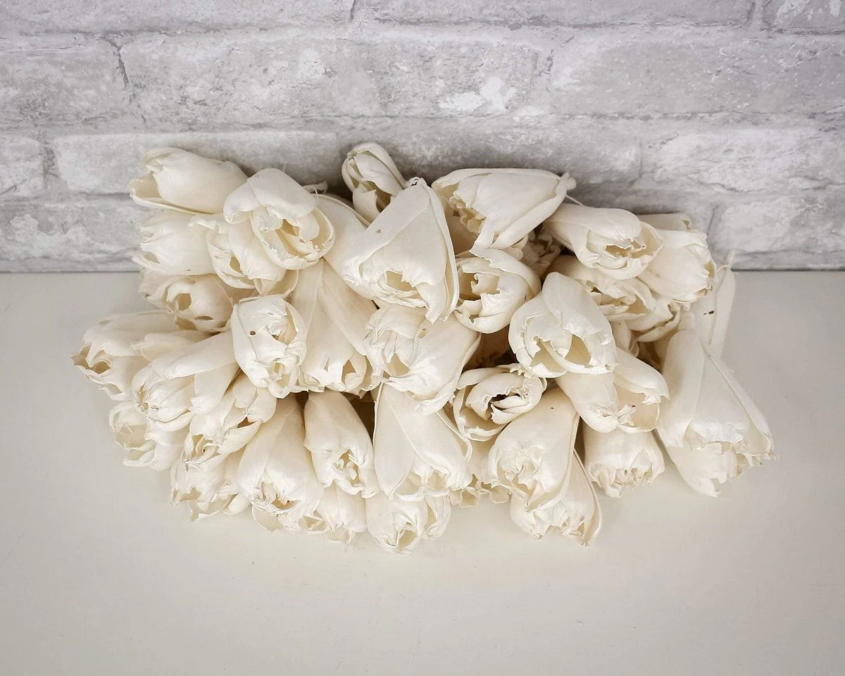 3" Precious Tulip - 50 Pack - Image 3