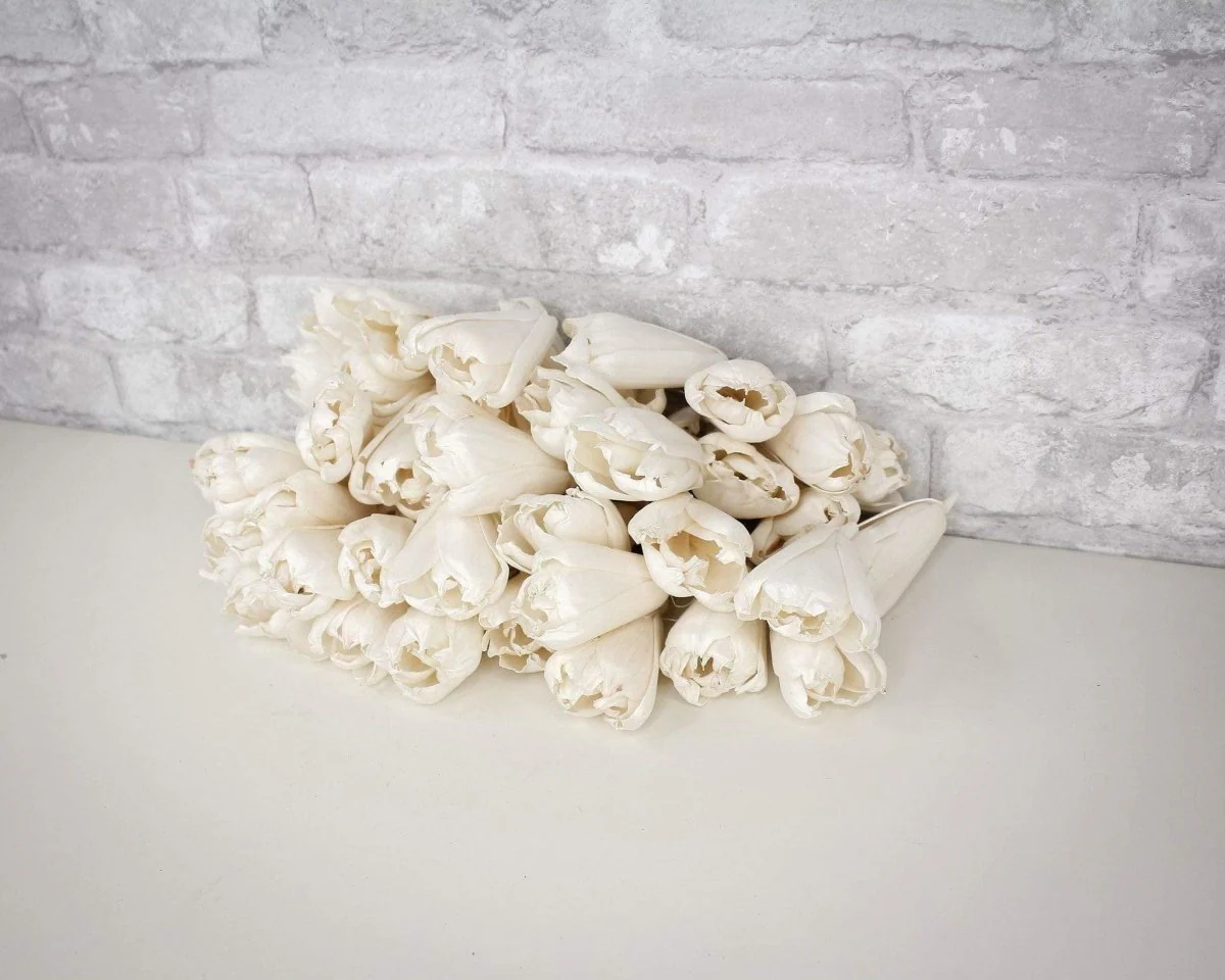 3" Precious Tulip - 50 Pack - Image 4