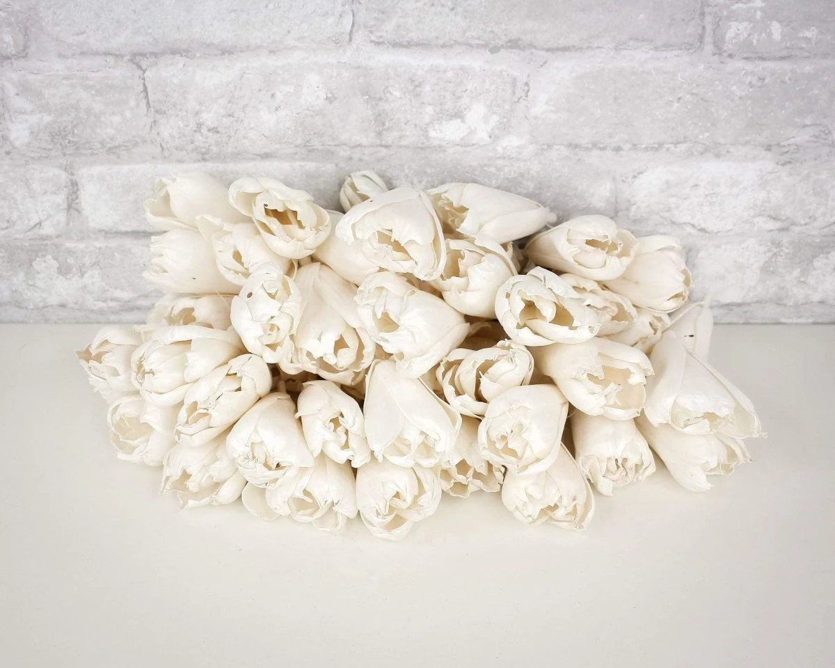 3" Precious Tulip - 50 Pack - Image 6