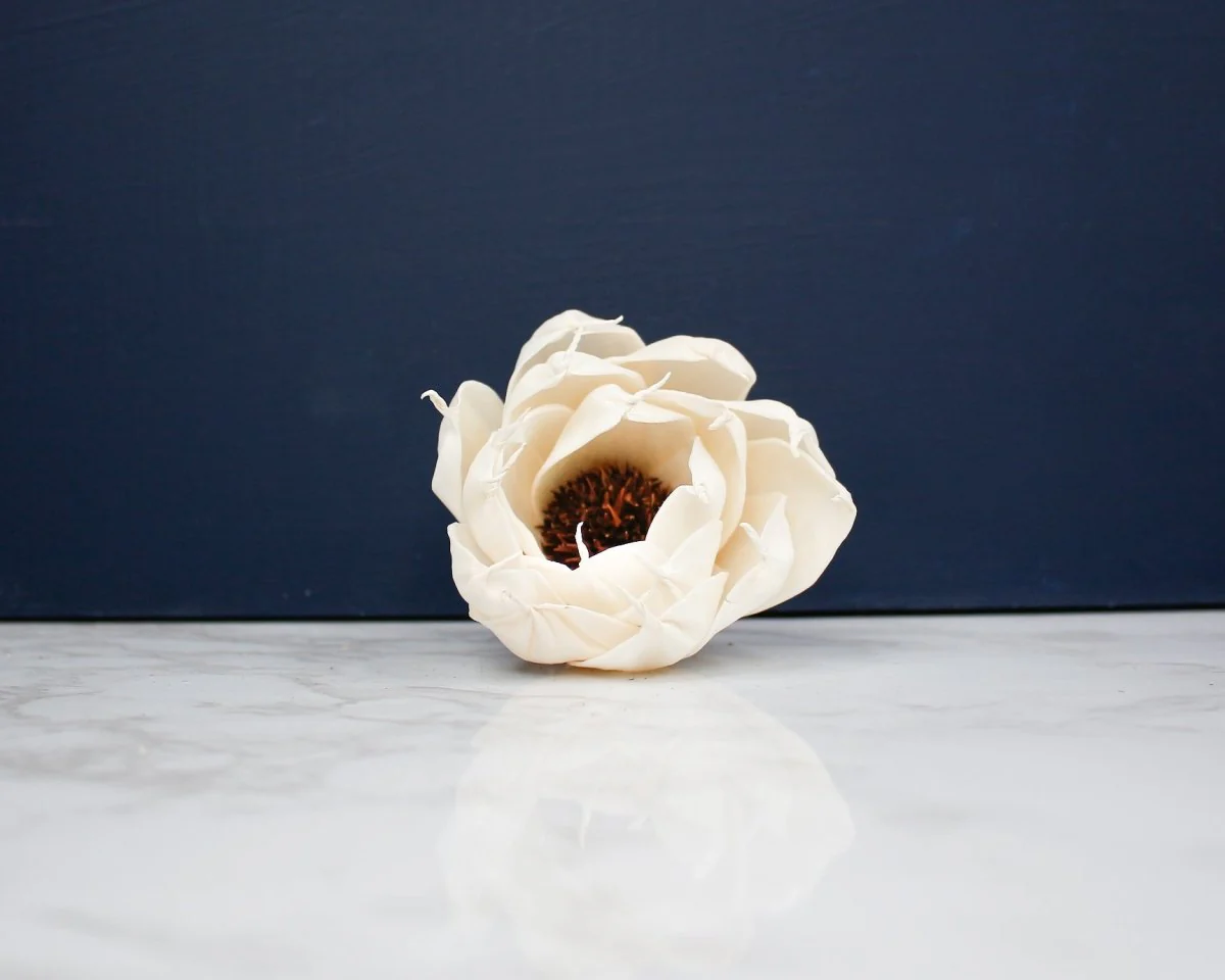 3" Ramona (10 Pack) - Image 2