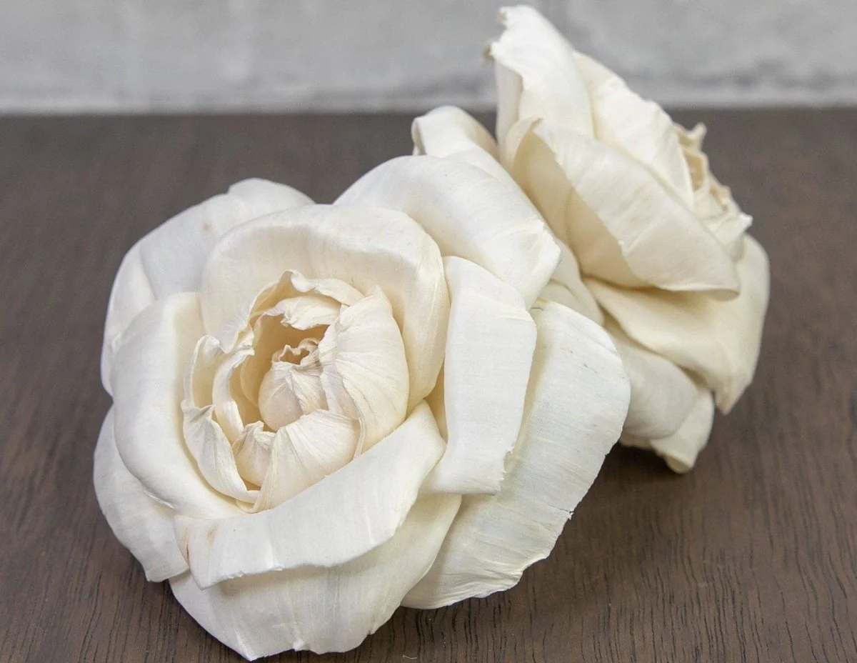 3" Ravishing Rose (10 Pack) - Image 2