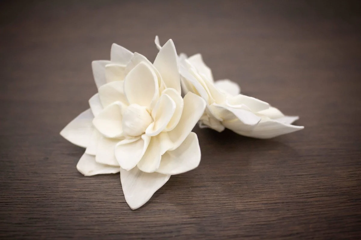 3" Reeva (10 Pack) - Image 2